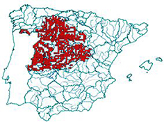 Luciobarbus (Barbus) bocagei_mapa.jpg